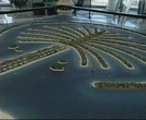 The palm 