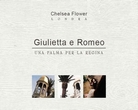 Giulietta e Romeo